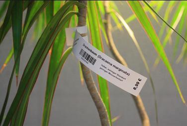 Plant tag